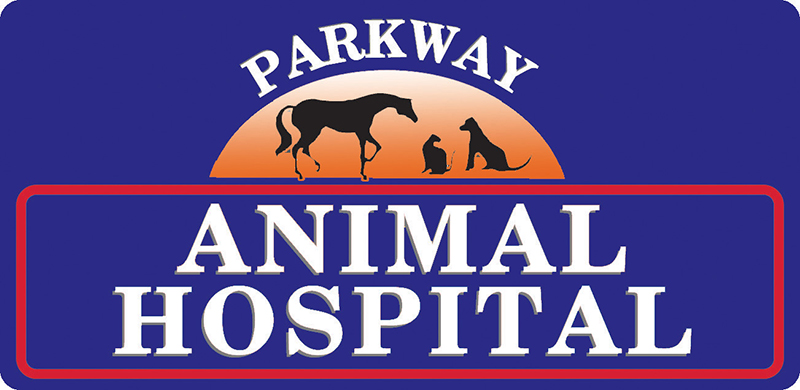 Best Vet Hospital In Roseburg, OR | Parkway Animal Hospital